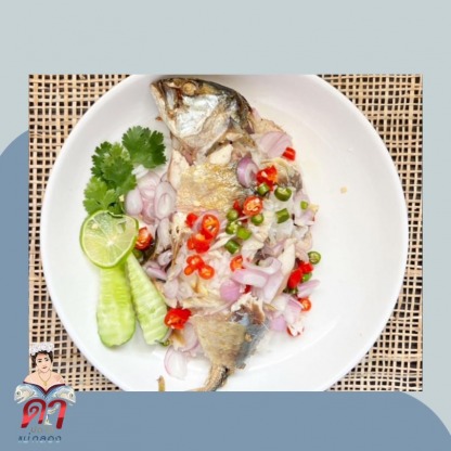 ปลาทูขายส่ง สดใหม่ - ขายส่งปลาทูแม่กลอง - ดาปลาทูแม่กลอง
