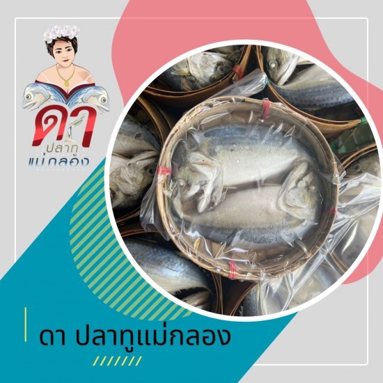 ขายส่งปลาทูแม่กลอง - ดาปลาทูแม่กลอง - ขายส่งปลาทู