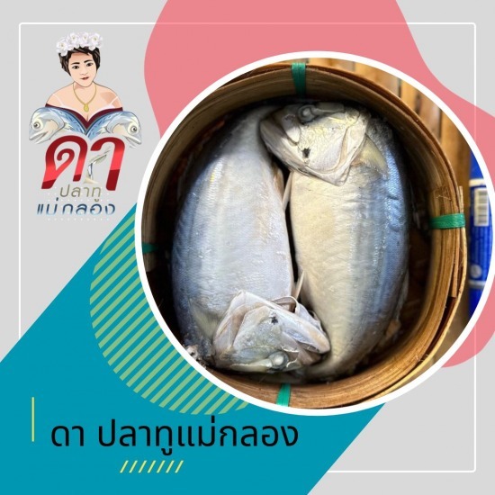 ขายส่งปลาทูแม่กลอง - ดาปลาทูแม่กลอง - ปลาทูแม่กลอง