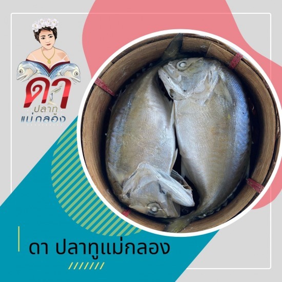 ขายส่งปลาทูแม่กลอง - ดาปลาทูแม่กลอง - ปลาทูแม่กลองขายส่ง