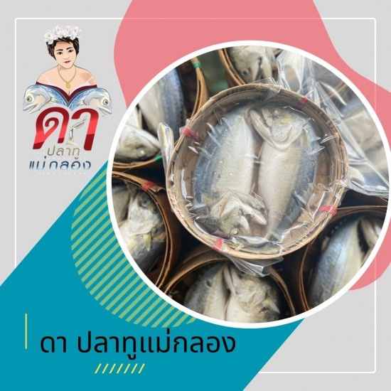 ขายส่งปลาทูแม่กลอง - ดาปลาทูแม่กลอง - ปลาทูสด ราคาส่ง