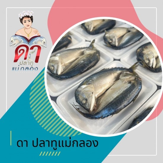 แหล่งขายส่งปลาทูสด แหล่งขายส่งปลาทูสด 