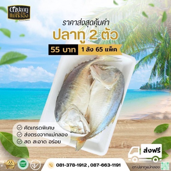 ปลาทูแม่กลองขายส่ง