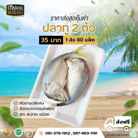 ปลาทูสด ราคาส่ง - ขายส่งปลาทูแม่กลอง - ดาปลาทูแม่กลอง