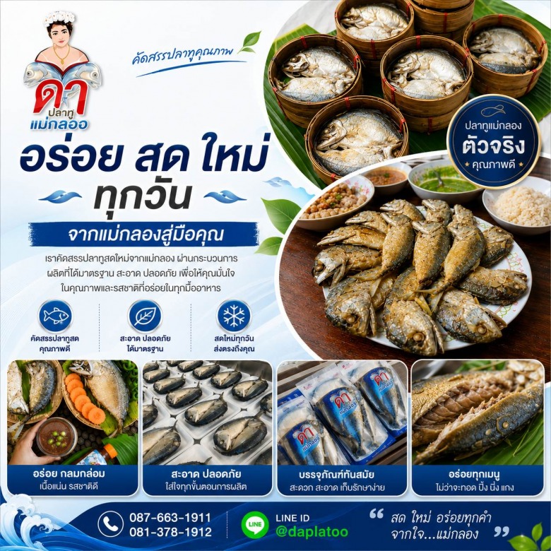 ปลาทูสดแม่กลอง ปลาทูสดแม่กลอง