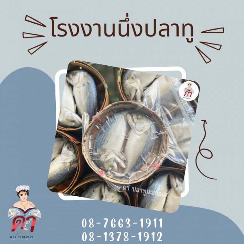 โรงงานปลาทูแม่กลอง สมุทรสงคราม