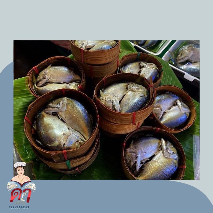 ปลาทูคุณภาพดี