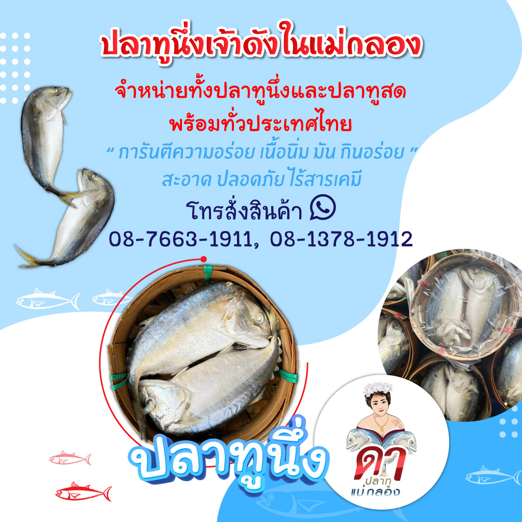 ขายส่งปลาทูแม่กลอง - ดาปลาทูแม่กลอง
