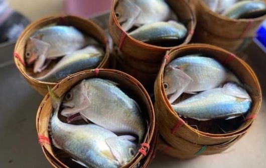 ปลาทูนึ่ง คัดตามน้ำหนัก