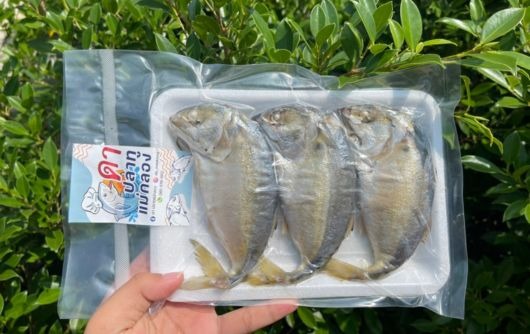 ปลาทูไทย ขายส่ง ราคาถูก