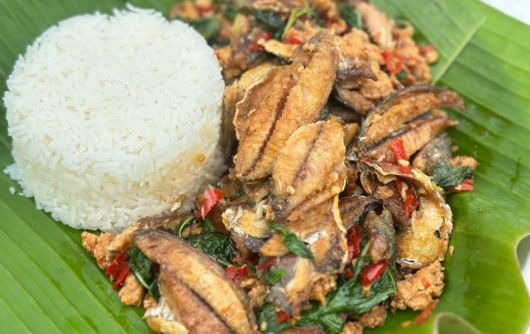 แหล่งรวมปลาทูนึ่ง ปลาทูสด