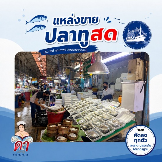 แหล่งขายปลาทูสด แม่กลอง