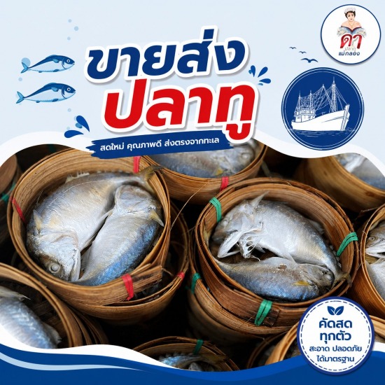 ขายส่งปลาทู